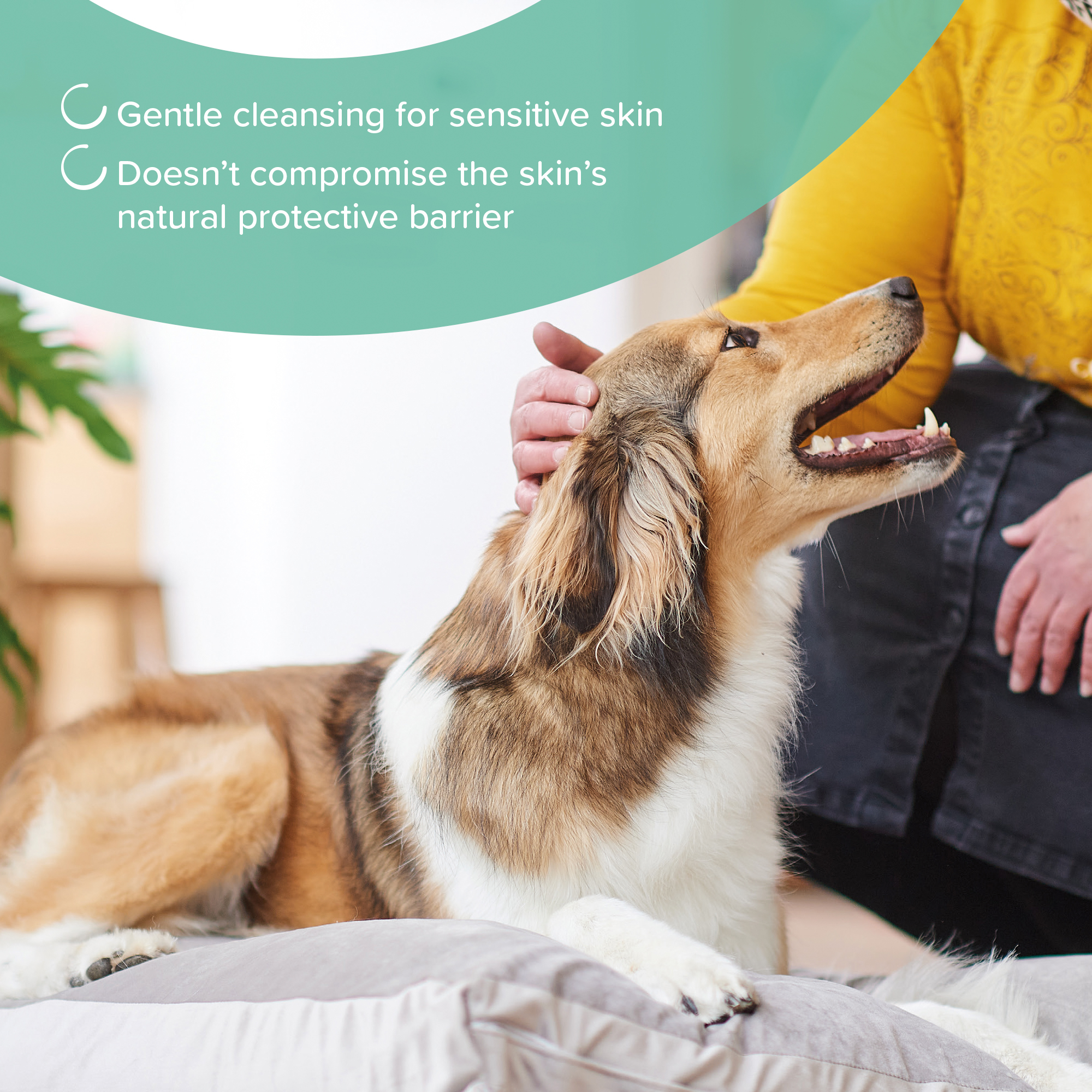 Beaphar Hypo-Allergenic Shampoo 250Ml