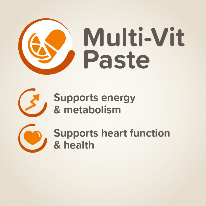 Beaphar Multi Vitamin Paste Cat 100G