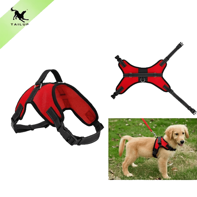 Chik Dog Harness DXBD9-12 XL
