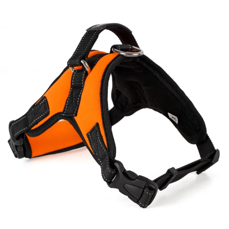 Tailup DXBD9-12 L dog harness in orange