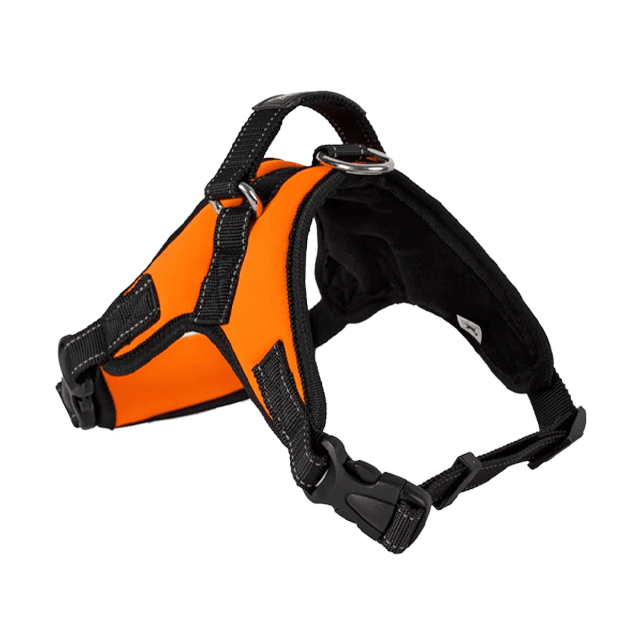 Chik Dog Harness DXBD9-12 L