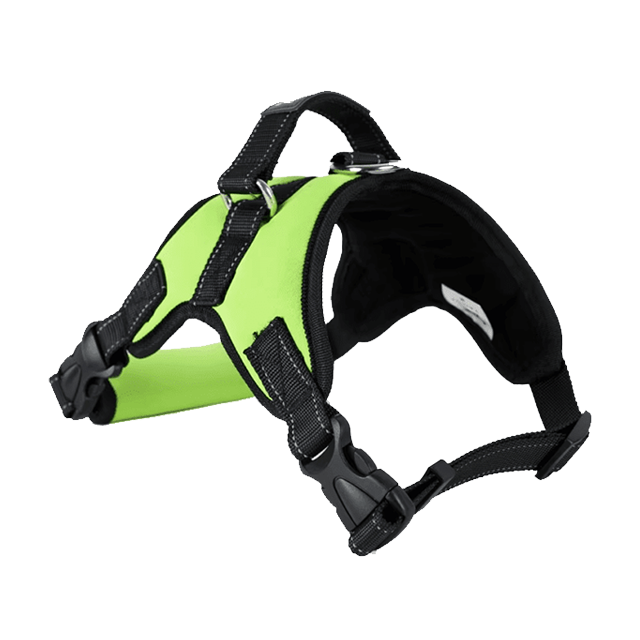 Chik Dog Harness DXBD9-12 M