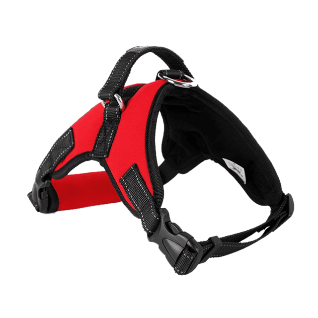 Chik Dog Harness DXBD9-12 XXL