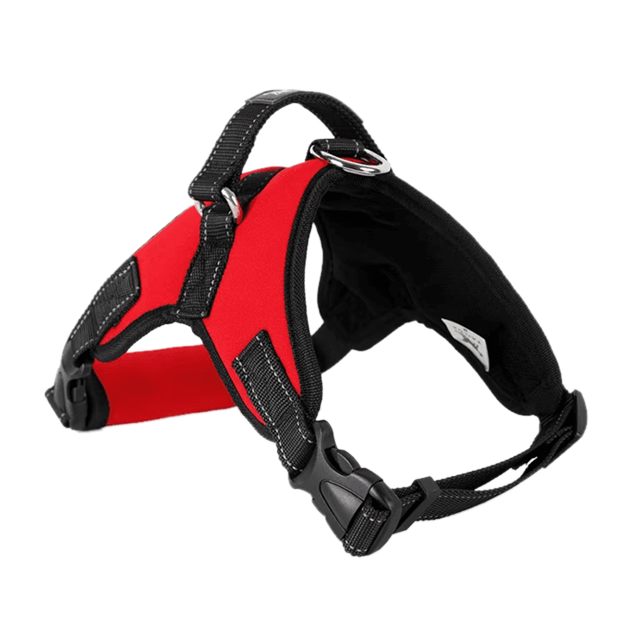 Chik Dog Harness JGBD-001A/B - S