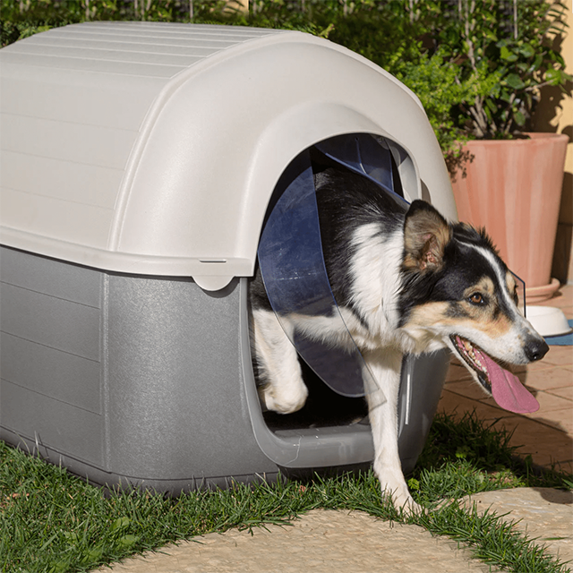 Ferplast Kenny 05 Dog Kennel