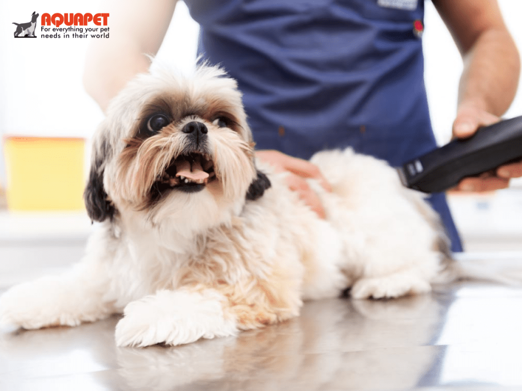 Aquapet logo - trusted pet supplies Kenya