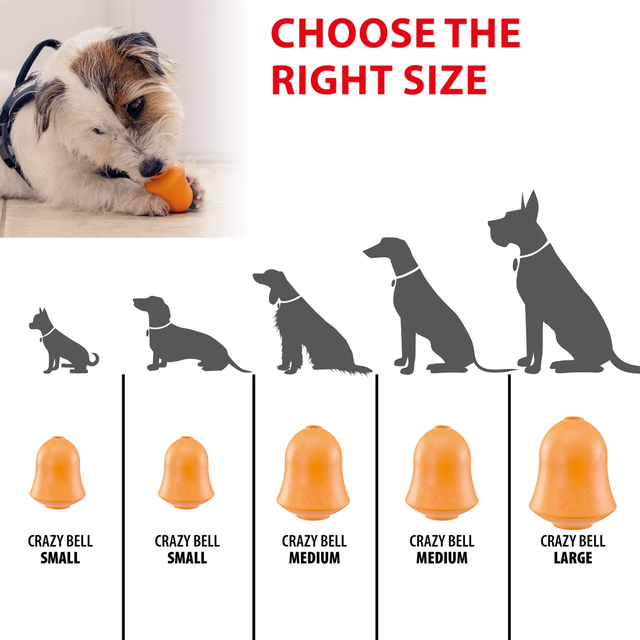 Ferplast Crazy Bell Toy - L