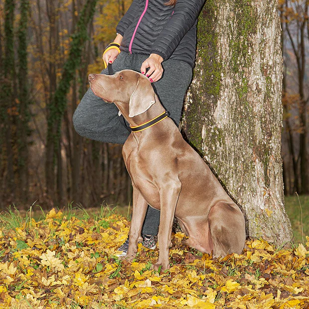 Ferp Ergofluo C15/42 Collar