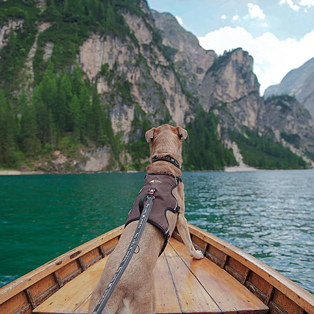 Ferp Ergotrekking Harness - M