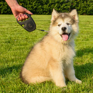 Ferp Flippy One Retractable Leash - S