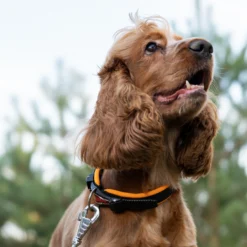 Alternative view of Ferp Ergofluo Collar 15/42