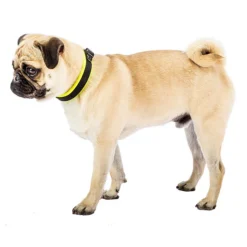 Alternative view of Ferp Ergofluo C15/33 Collar