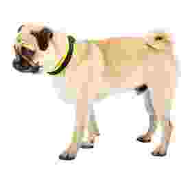 Alternative view of Ferp Ergofluo C15/33 Collar