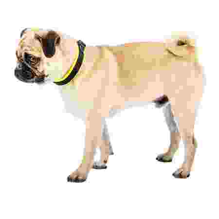 Alternative view of Ferp Ergofluo C15/33 Collar