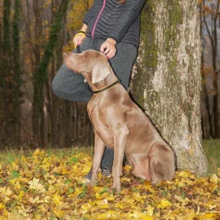 Alternative view of Ferp Ergofluo C15/42 Collar