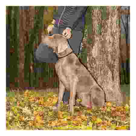 Alternative view of Ferp Ergofluo C15/42 Collar