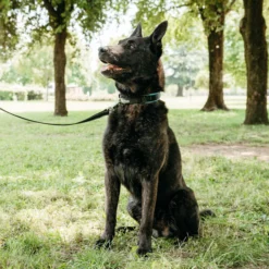 Alternative view of Ferp Ergofluo Collar 25/51