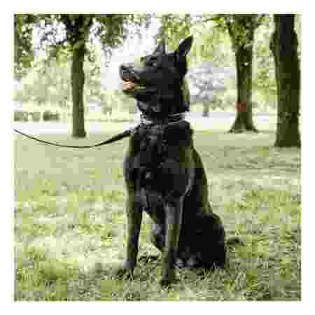 Alternative view of Ferp Ergofluo Collar 25/51