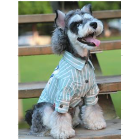 Chic Dog shirt #Gyp6-B005B M