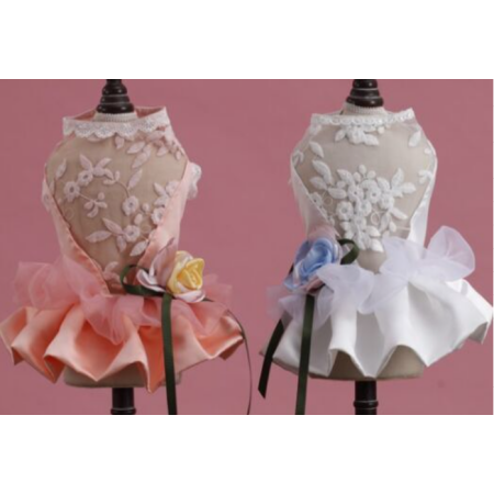 Chic Cloth-Orange Skirt#Gyp-7Bo27A