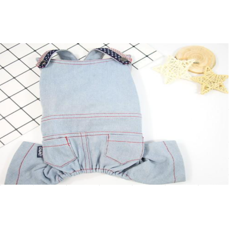 Chic Cowboy Cloth#Gyp6-B005B S