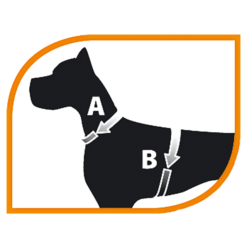 Alternative view of Ferp Agila 7 Dog Harness - M