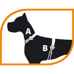 Alternative view of Ferp Agila 8 Dog Harness - L
