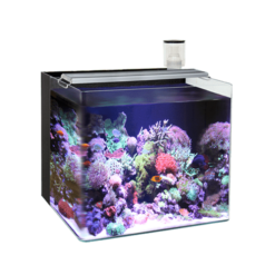 OF Nano Marine-5 AT641A