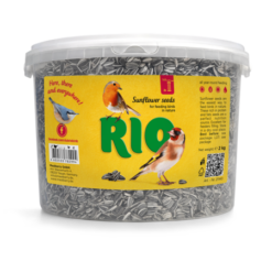Rio Sunflower Seeds 2Kg