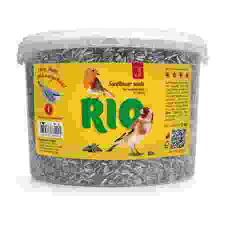 Rio Sunflower Seeds 2Kg