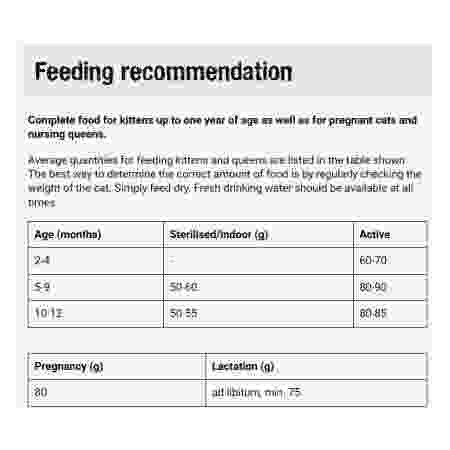 Alternative view of Leonardo Kitten 1.8kg