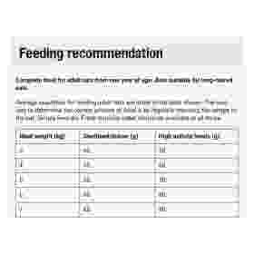 Alternative view of Leonardo Adult Lamb