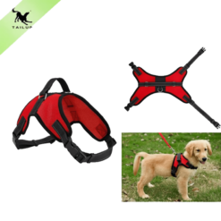 Alternative view of Chik Dog Harness DXBD9-12 XL