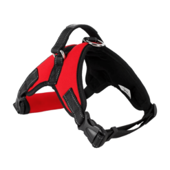 Chik Dog Harness DXBD9-12 XL