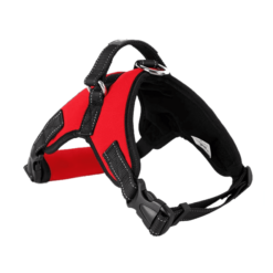 Chik Dog Harness DXBD9-12 XXL