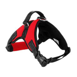 Chik Dog Harness JGBD-001A/B - S