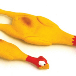Chic Squeaky Chicken LTX