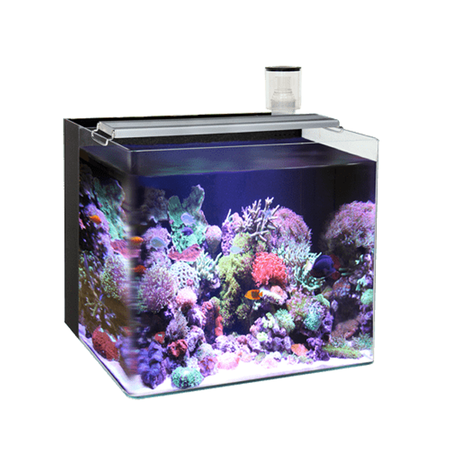 OF Nano Marine-4 AT640A