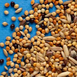 Alternative view of Rio feed for Parrots 3kg