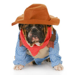 Chic Dog Cowboy S#Gyp-7B014