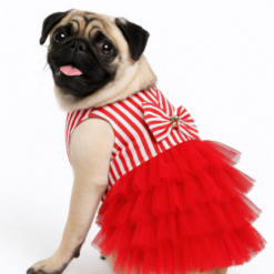 Chik Dog Skirt Red#Gyp-7B026A M