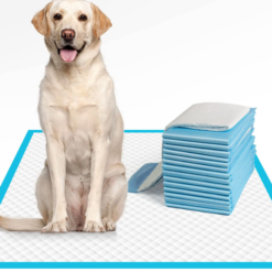 Chik Dog Urine Pad - L 60x60cm