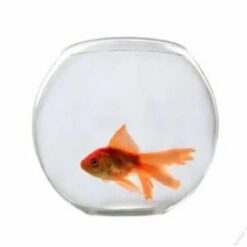 Chik Fish Bowl#Yg-175