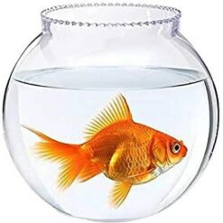 Chik Fish Bowl#Yg-300