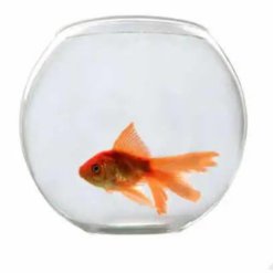 Alternative view of Chik Nubios Fish Bowl Set YG-300