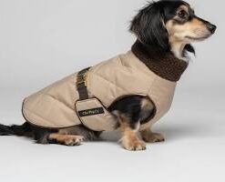 Chik Pet Cloth#Gyp-7002 -L